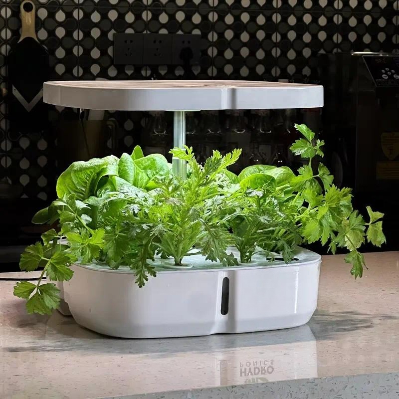Smart Garden System - Kreatywny, miniaturowy, inteligentny system hydroponicznego uprawy
