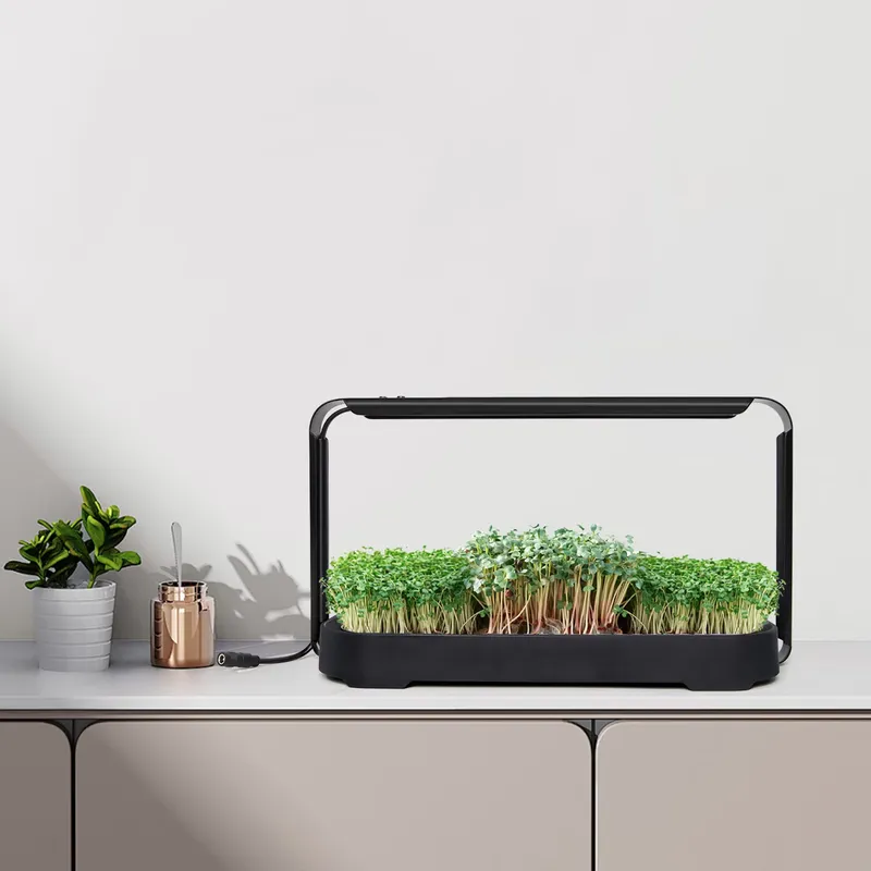 System hydroponiczny do samodz – Self Watering Planter recenzja i cena