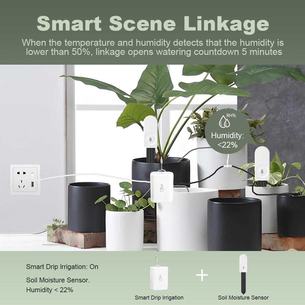 5 szt. Tester wilgotności gleb – Plant Sensor recenzja i cena