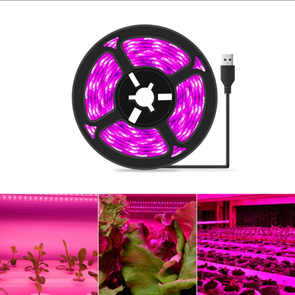 ABUH-5V 5-metrowa lampa do upr – Plant Grow Light Full Spectrum recenzja i cena