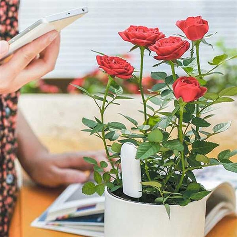 ABVG-Flora Inteligentny Monito – Plant Sensor recenzja i cena