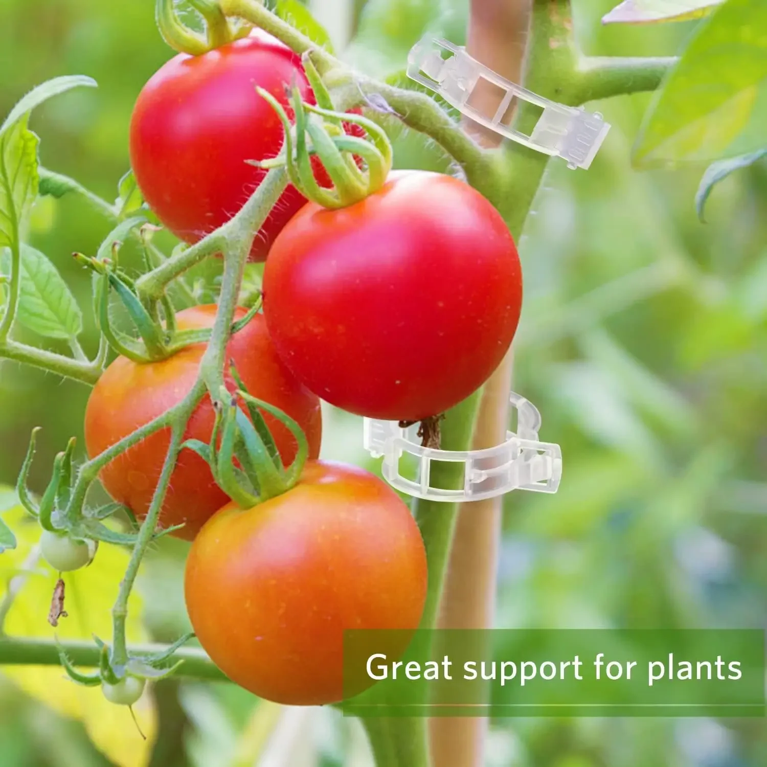 Klipsy do podtrzymywania rośli – Smart Garden Kit recenzja i cena
