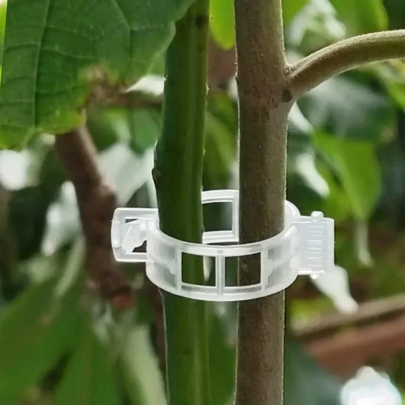 Klipsy do podtrzymywania rośli – Smart Garden Kit recenzja i cena