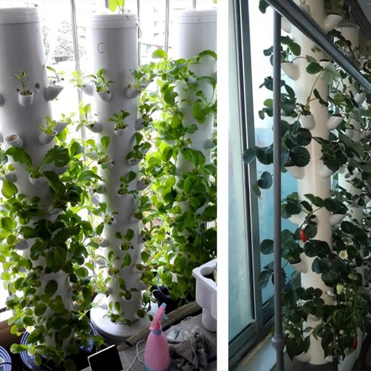 Wertykalna wieża hydroponiczna – Hydroponic Tower recenzja i cena