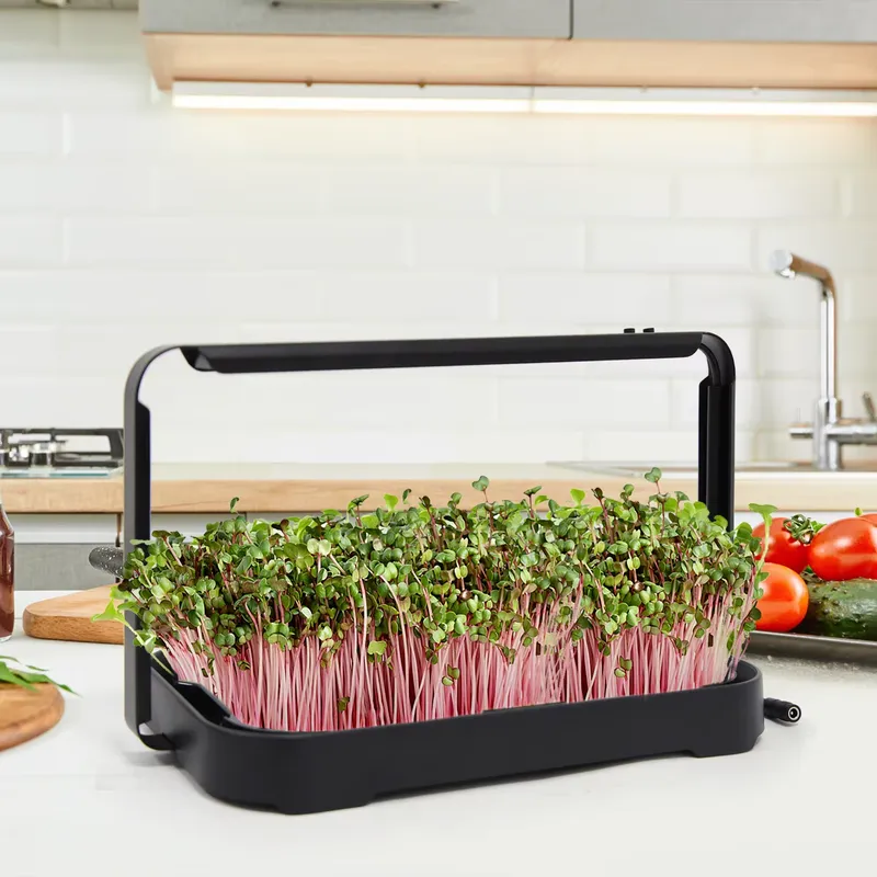 Taca hydroponiczna do uprawy m – Smart Garden System recenzja i cena