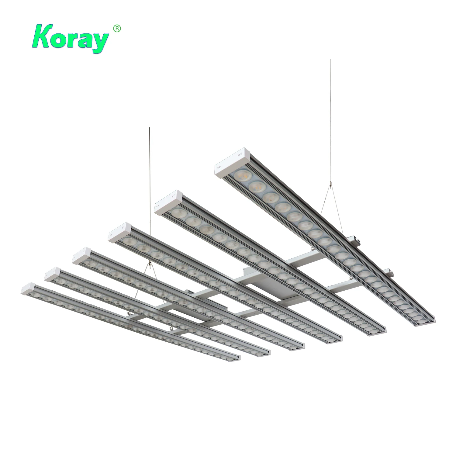 Koray 900W Wewnętrzna lampa do – Plant Grow Light Full Spectrum recenzja i cena