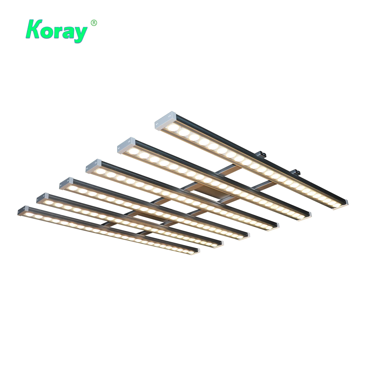 Koray 900W Wewnętrzna lampa do – Plant Grow Light Full Spectrum recenzja i cena