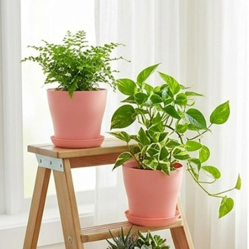 Zestaw doniczek z otworami dre – Indoor Garden Kit recenzja i cena